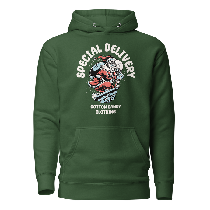 Special Delivery Christmas Hoodie